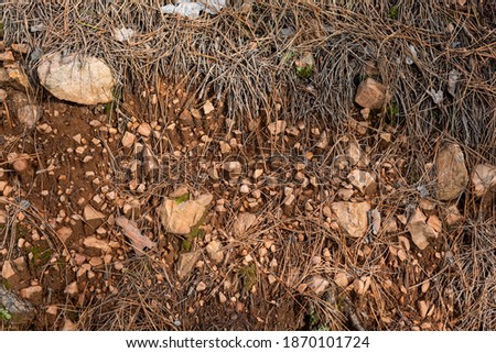 Similar – Image, Stock Photo shovel excavator