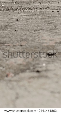 #latest, #nature, #new, #old, #texture, abstract, aged, aging, agriculture, architecture, art, asphalt, backdrop, background, black, block, brickwork, cement, concrete, construction, crack, dark, 