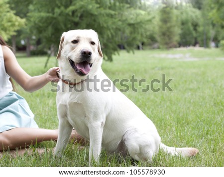 Latin American girl holding her dog in the park on the background of th? trees