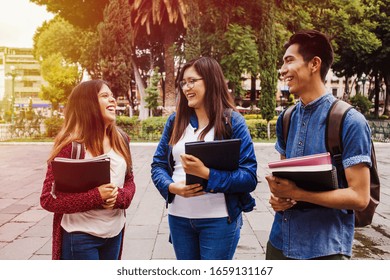 Latin American Students Or International Students In Internship In Mexico City