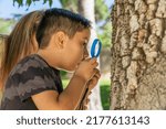 latin boy looking for insects on a tree trunk with a magnifying glass