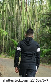 Latin Guy Walking Along A Trail In The Middle Of A Bamboo Forest In Colombia. Beautiful Jungle In South America, Man Walking In Nature. Ecology Concept.