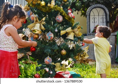 Latin Kids Decorating Cristmas Tree Outside.