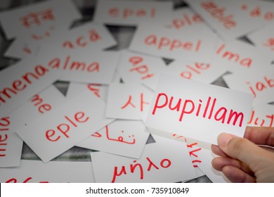 Latin; Learning New Language With Handwritten Flash Cards. Translation; Apple