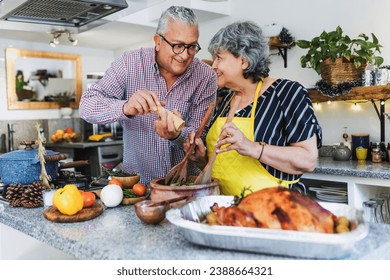 Latin senior couple cooking a turkey meat together for Christmas dinner at home in Mexico Latin America, hispanic people preparing food in holidays - Powered by Shutterstock