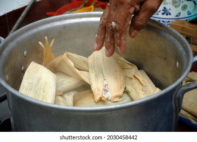 Latin woman preparing tamales to consume in Mexican home