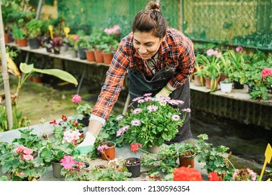 Latin woman working inside greenhouse garden - Nursery and spring concept - Focus on face