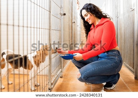 Latina woman feeds a dog at an animal shelter for adoption at a rescue center. Wellness, charity, and youth and women volunteering with an adoptive dog and pet at the local kennel.
