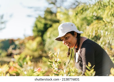 Latina Woman Outdoors On A Beautiful Summer Day Working Among The Plants. 