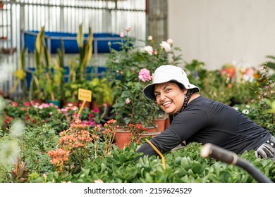 Latina Woman Working Very Happily Taking Care Of The Plants In The Nursery . High Quality Photo