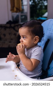 Latino Baby Eating Cookie On Her Chair