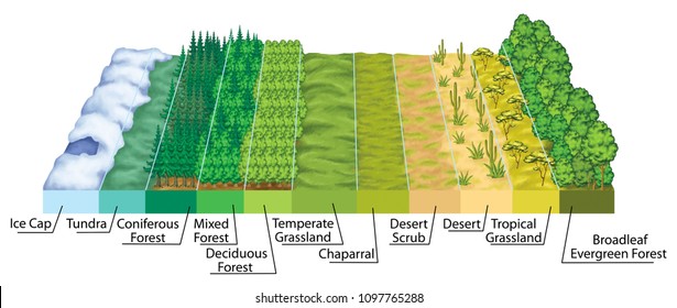 Latitude Images, Stock Photos & Vectors | Shutterstock