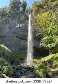Latourell Falls, a single, dramatic waterfall that drops straight down from an overhanging basalt cliff.