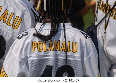 LATROBE, PA  JULY 29, 2008:  Troy Polamalu Fans Watching Pittsburgh Steelers Practicing At Training Camp At St. Vincent College In Latrobe Pennsylvania For The 2008 2009 Football Season