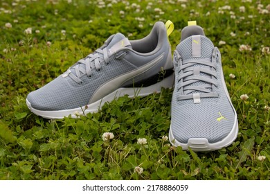 Latvia, 06.2022 New Gray Trendy Stylish, Comfortable, Puma Sneakers On Green Grass