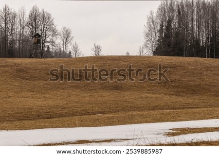 Similar – Image, Stock Photo Spring in grey Gloomy