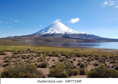 Lauca National Park In Chile