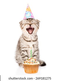 laughing cat cat  with birthday hat and cake. isolated on white background
