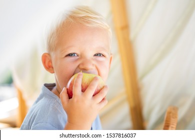 Laughing cute little boy on camping sitting in tent and eat apple fruit. Portrait of happy smiling child boy on nature background. Funny little boy