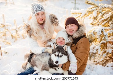 Laughing Family And Husky Dog In Winter Park