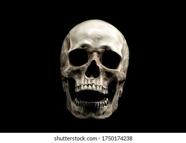 Laughing Human Skull. Evil Skeleton. Skull With Open Mouth Isolated On Black Background.