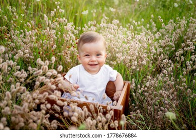laughing little baby girl 7 months old sitting among the field grass in a white dress, healthy walk in the fresh air, top view