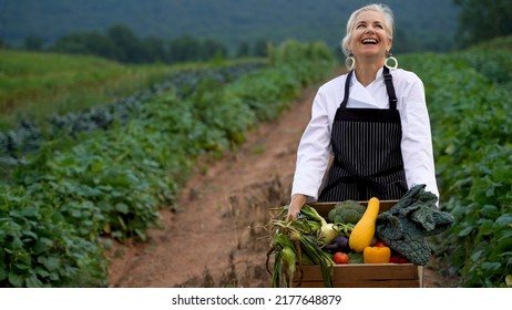 Laughing, Pretty, Caucasian, Female Chef Carrying Fresh Picked Vegetables Walking Towards Camera On A Farm For Farm To Table At Sunrise Sunset.