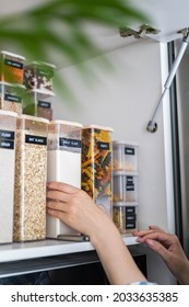 Laughing Young Female Housewife Posing During General Cleaning, Tidying Up In Cupboard Kitchen. Woman Placing, Sorting Food Into Pp Boxes For Comfortable Storage At Cuisine Having Positive Emotion