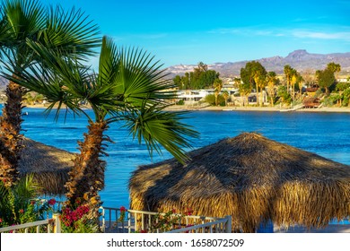 Laughlin, NV / USA – February 16, 2020: Palm trees with palapa umbrellas at Harrah’s Laughlin Casino and Resort with a view of the Colorado River and the shore of Bullhead City, Arizona.