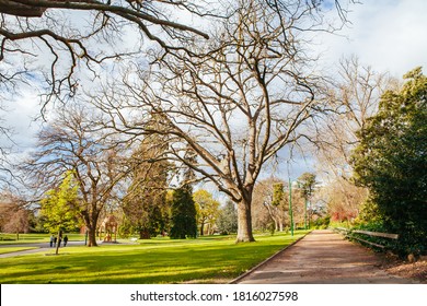 Launceston City Park On A Cold Spring Day In Tasmania, Australia