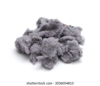 Laundry Lint From The Dryer On White