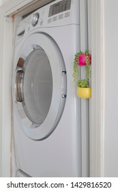 Laundry Machine Dryer Plants Succulent