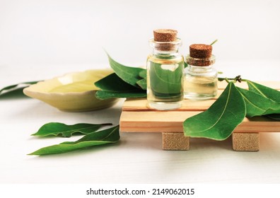 Laurel bay oil natural herbal extract in bottle, green fresh aroma plant leaves, holistic aromatherapy skin care botanical spa beauty treatment - Shutterstock ID 2149062015