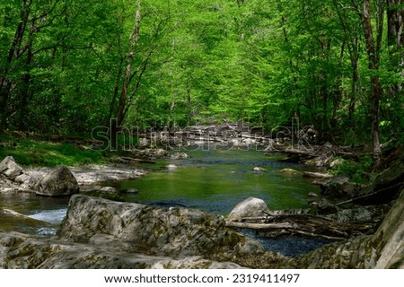 The Laurel Creek, near Cades Cove in the Smoky Mountains National Park, near Townsend, Tennessee.
