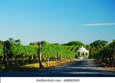 Laurel  NY, USA June 20 A gazebo is tucked into a vineyard in Cutchogue, New York, one of the many vineyards on the North Fork of Long Island