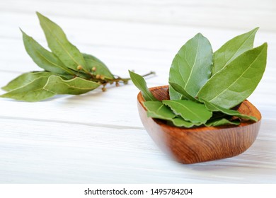 Laurel Or Sweet Bay In A Wooden Bowl On A White Table