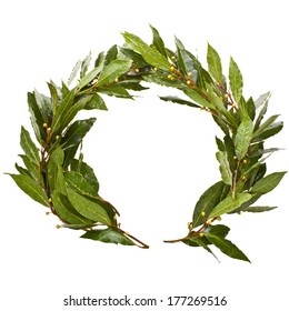 Laurel Wreath Close-up Isolated, On White Background