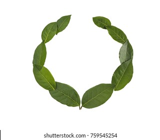 laurel wreath isolated on a white background - Shutterstock ID 759545254