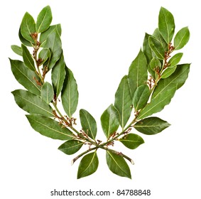 Laurel Wreath Isolated On White Background
