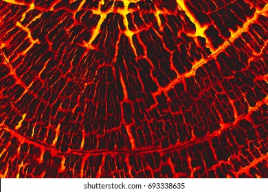 Lava Burn Wood Texture Background.