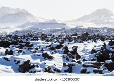 Lava Field In Iceland