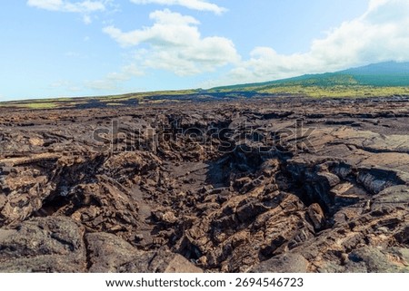 Lava Fields and Pacific Ocean View from Hawaii’s Big Island, USA – Volcanic Coastline Landscape