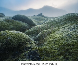 Kirkjubæjarklaustur Lava Fields are a remarkable example of Iceland’s unique volcanic landscape, featuring vast expanses of ancient black lava rocks covered with vibrant emerald-green moss. Located in southern Iceland, these dramatic lava fields create a striking contrast between dark volcanic terrain, soft green vegetation, distant mountains, and atmospheric Nordic skies. The pristine and otherworldly scenery makes Kirkjubæjarklaustur Lava Fields an exceptional destination for nature photography, landscape exploration, hiking, and experiencing Iceland’s powerful volcanic heritage.