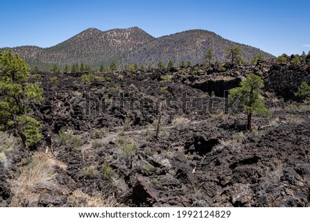 Lava flow in Sunset Crater Volcano National Monument near Flagstaff Arizona