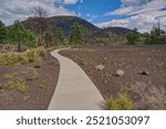 The Lava Flow Trail at Sunset Crater Arizona