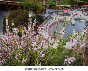 Lava Hot Springs Flowers In Idaho 