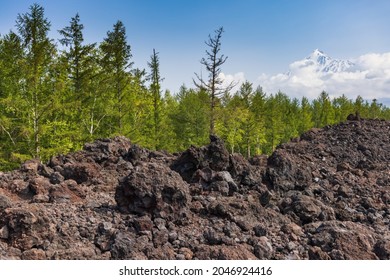 Lava tongue, lava valley, peak of Ostry Tobachik volcano in the clouds in Kamchatka against the backdrop of a recovering taiga and green forest. - Shutterstock ID 2046924416