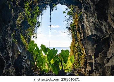 Lava tunnel and tropical vegetation on the island of Madeira. Levada trail is tourist attraction of popular resort - Powered by Shutterstock