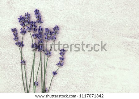 Lavander on a light background. Background with copyspace.