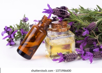 Lavandula Stoechas Oil